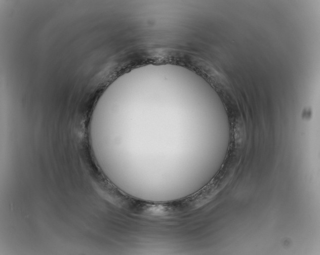 X0000090710611200708171908