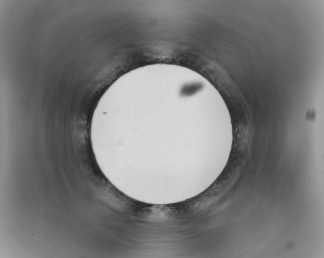 X0000090710612200708171908