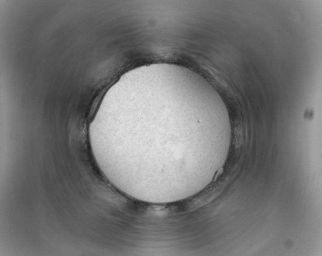 X0000090710613200708171908