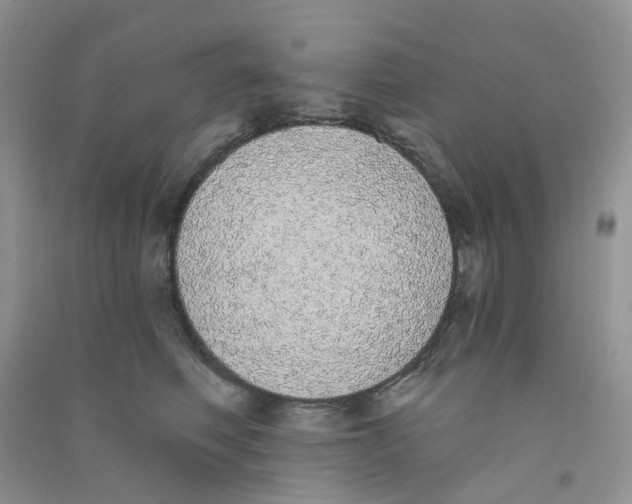 X0000090710614200708171908