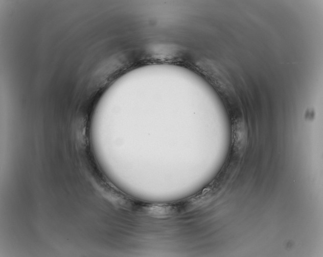 X0000090710615200708171907