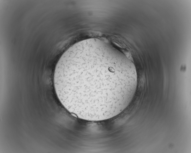 X0000090710616200708171907