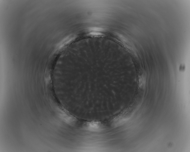 X0000090710618200708171907