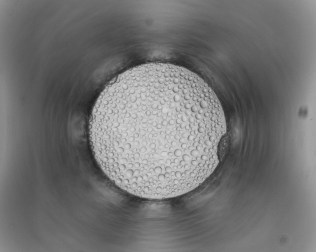 X0000090710619200708171907