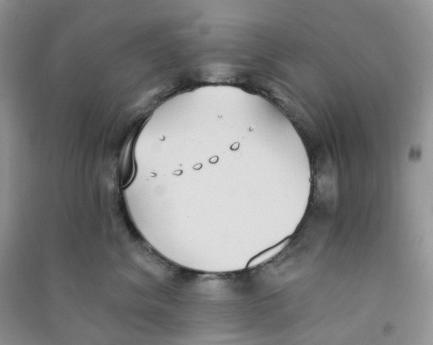 X0000090710620200708171907