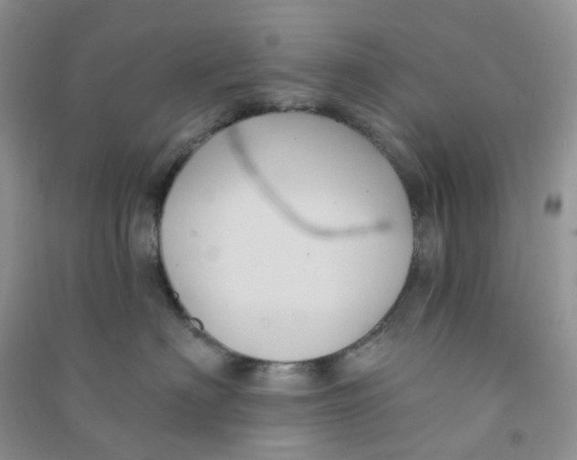 X0000090710622200708171907