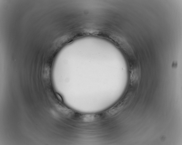 X0000090710623200708171907