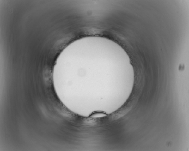 X0000090710624200708171907