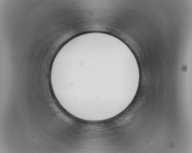 X0000090710625200708171907