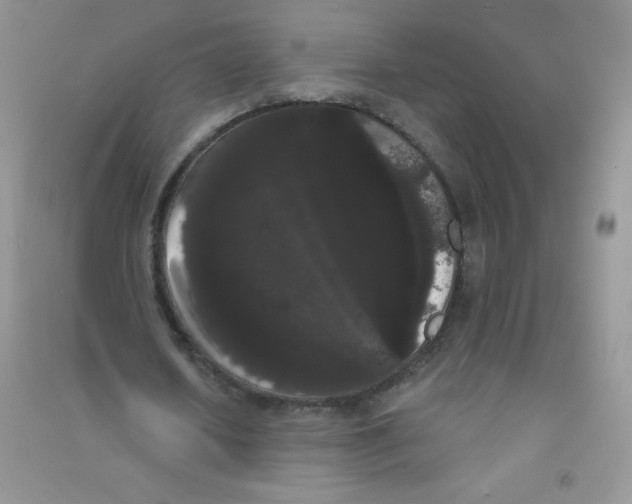 X0000090710626200708171907