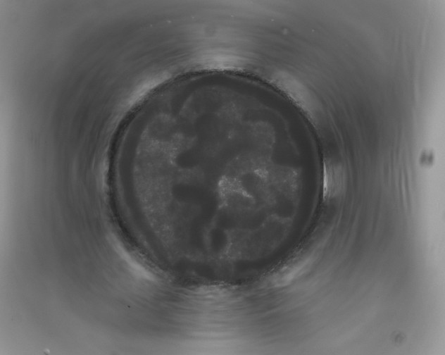 X0000090710627200708171907