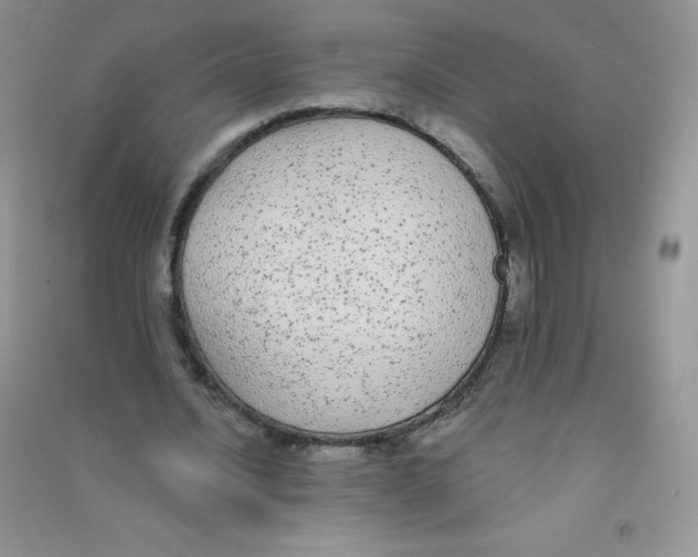 X0000090710628200708171907