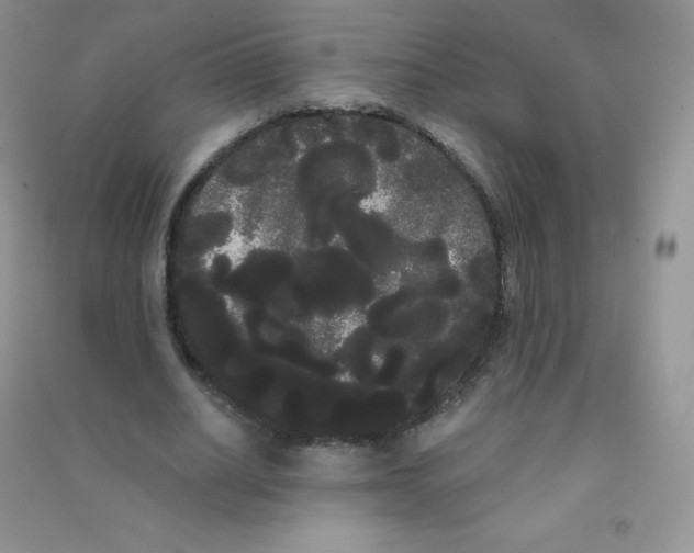 X0000090710630200708171907