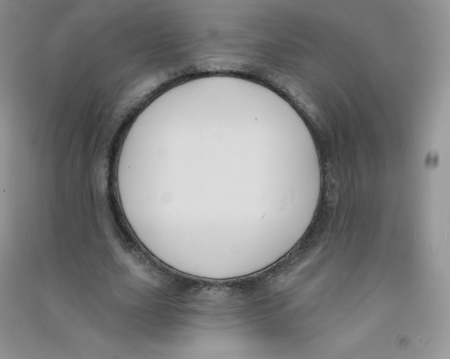 X0000090710631200708171907