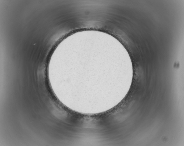 X0000090710632200708171907