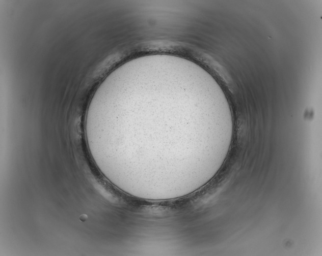 X0000090710633200708171907