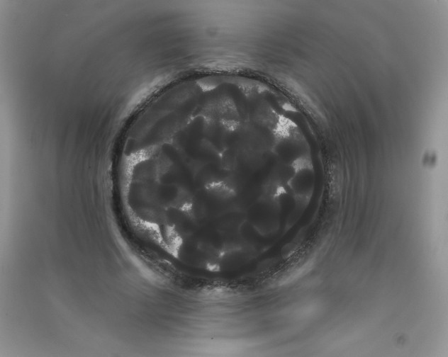 X0000090710634200708171907