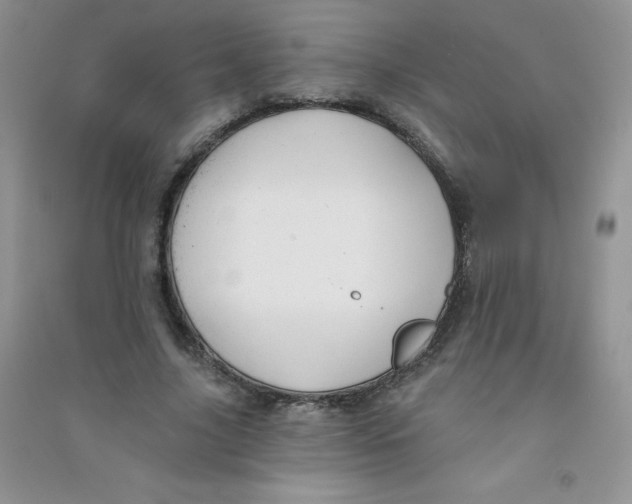 X0000090710635200708171907