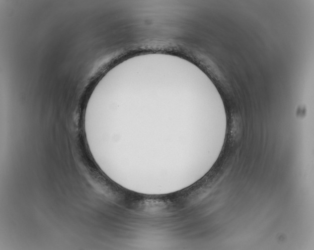 X0000090710636200708171907