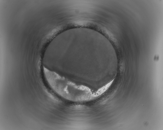 X0000090710637200708171907