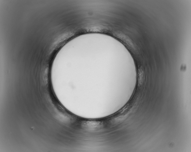 X0000090710638200708171907