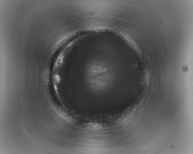 X0000090710640200708171907