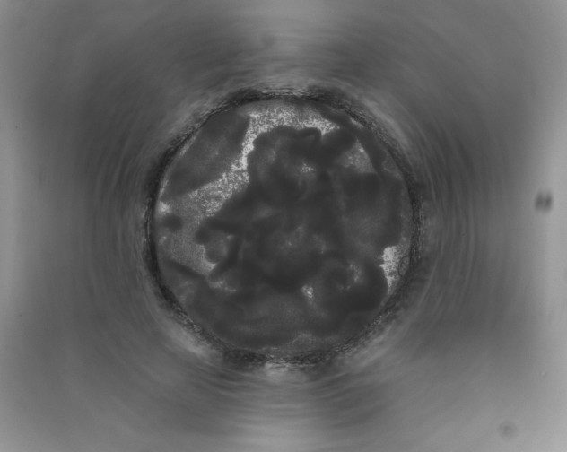 X0000090710641200708171907