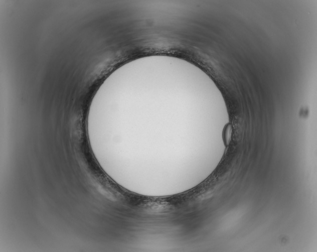 X0000090710642200708171907