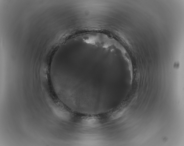 X0000090710643200708171907