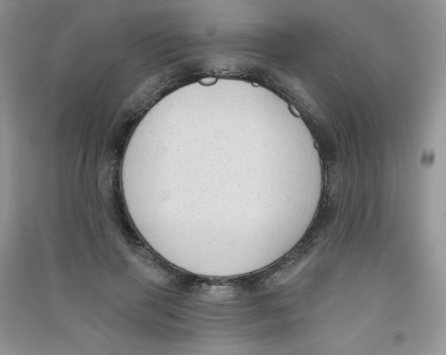 X0000090710645200708171907