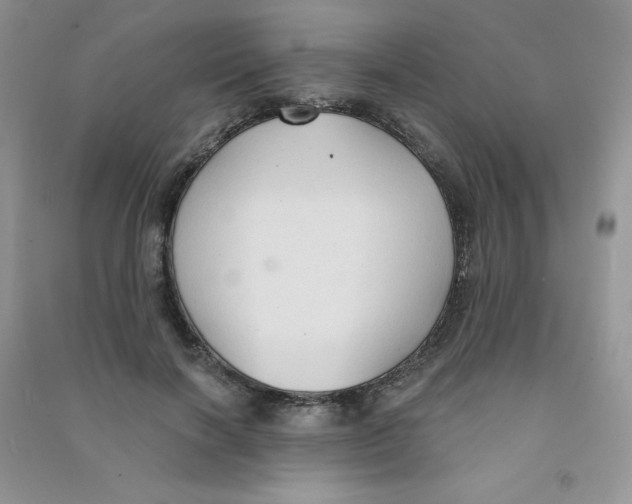 X0000090710646200708171907