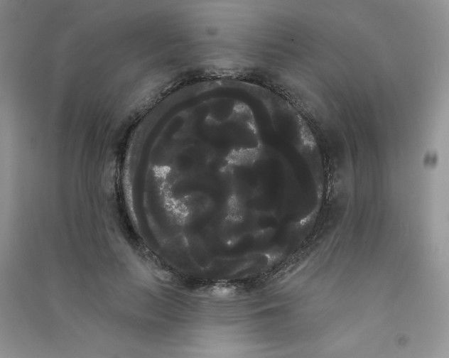 X0000090710647200708171907