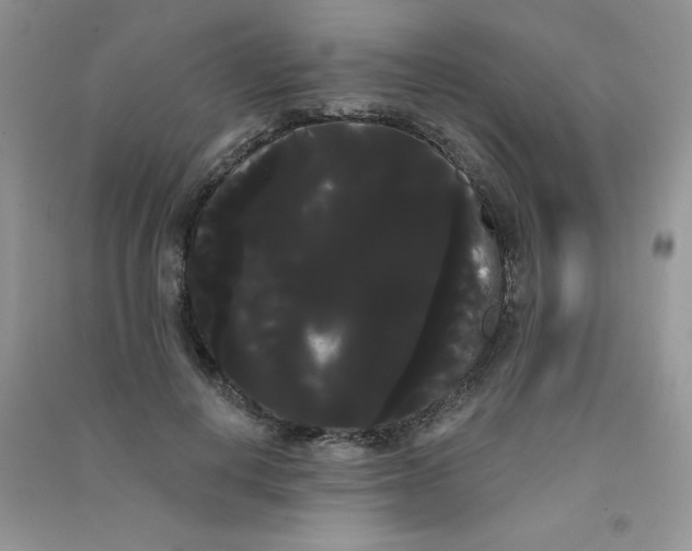 X0000090710648200708171907