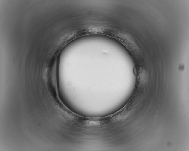 X0000090710649200708171907