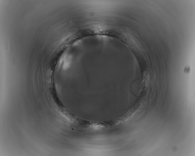 X0000090710650200708171907