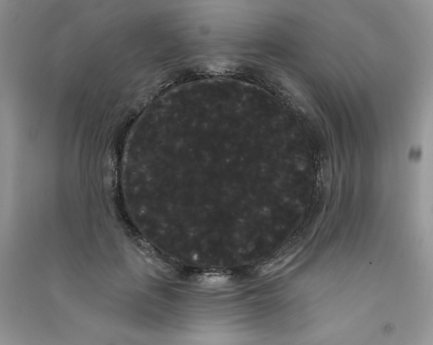 X0000090710651200708171907