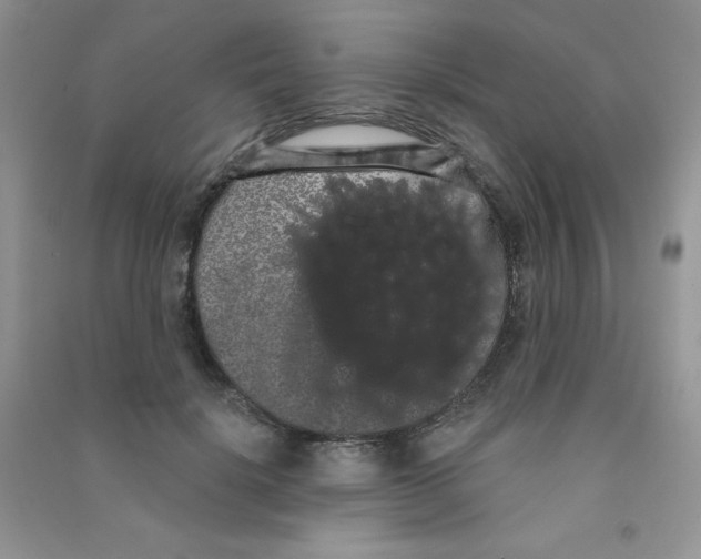 X0000090710652200708171907