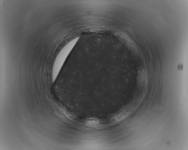 X0000090710653200708171907