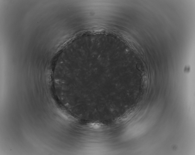 X0000090710654200708171907