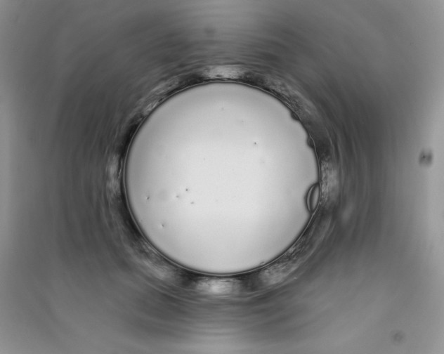 X0000090710655200708171907