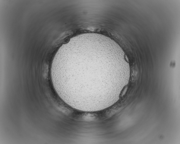 X0000090710656200708171907