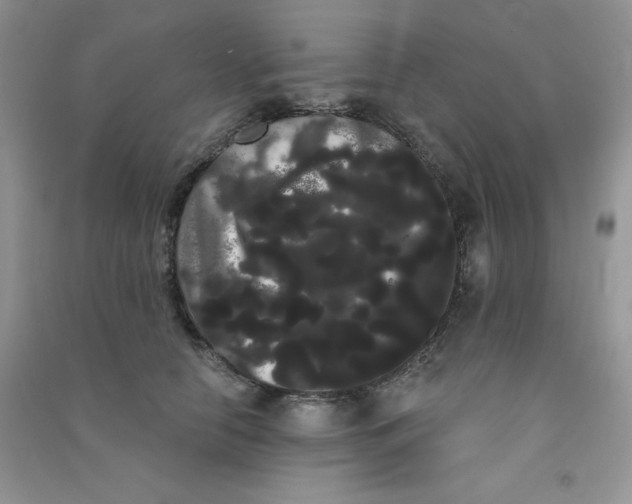 X0000090710658200708171907