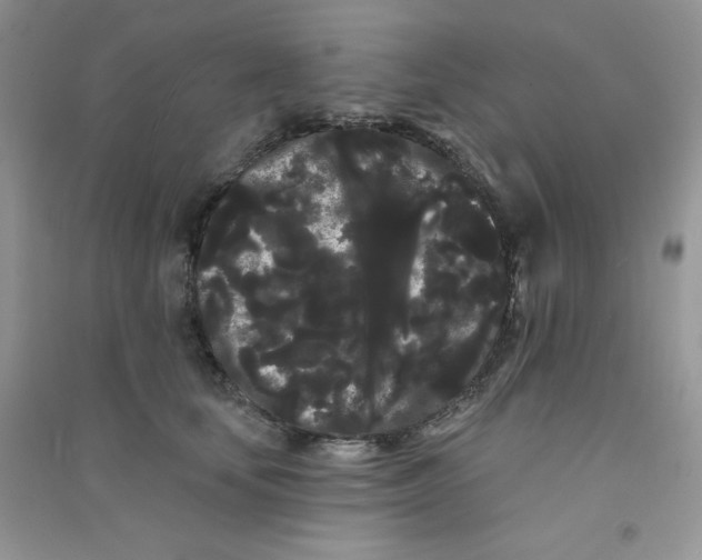 X0000090710659200708171907