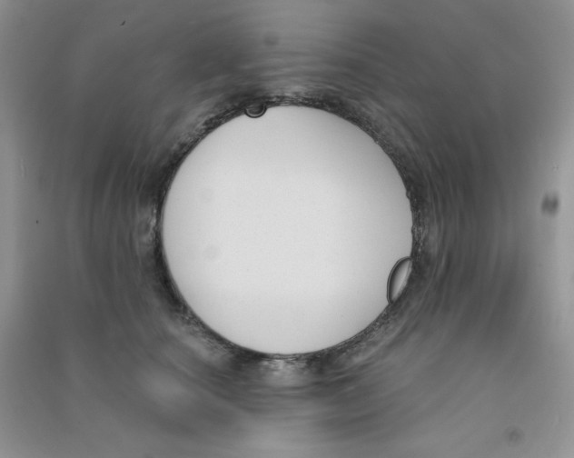 X0000090710660200708171907