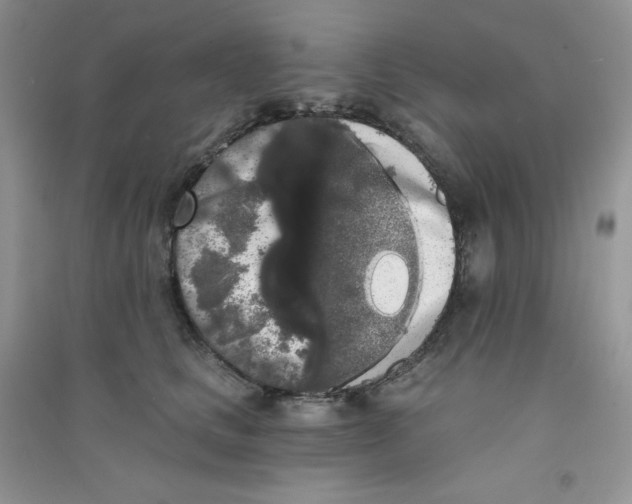 X0000090710661200708171907