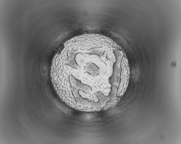 X0000090710662200708171907