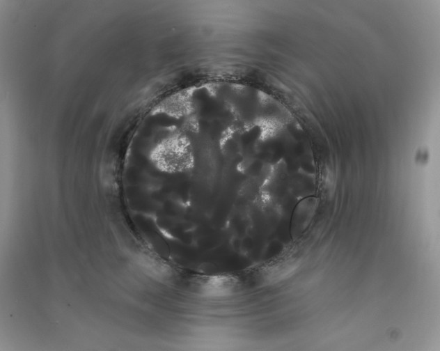 X0000090710663200708171907