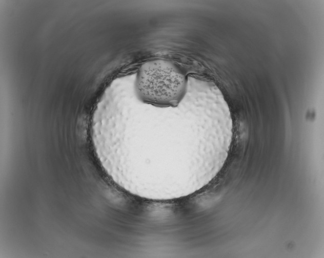 X0000090710664200708171907