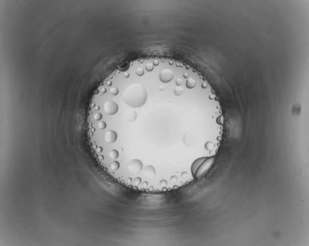 X0000090710665200708171907