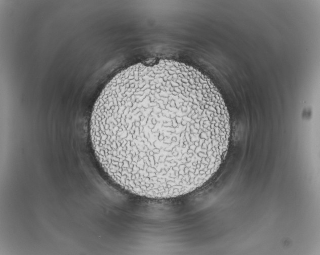 X0000090710666200708171907